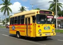 Tamanduateí para Guaianases de transporte público