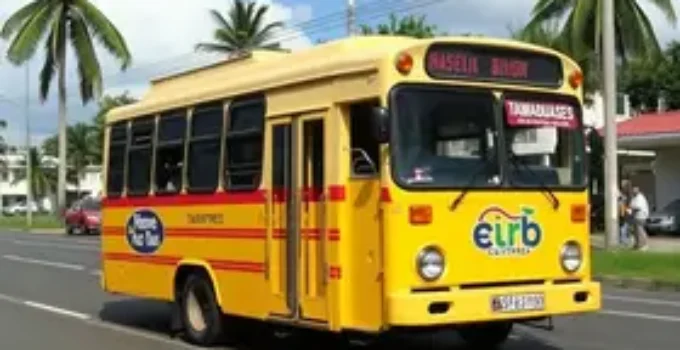 Tamanduateí para Guaianases de transporte público