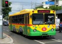 Vergueiro Sebrae para Tucuruvi