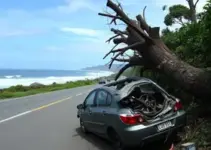 carro fica destruído após bater em árvore