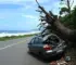 carro fica destruído após bater em árvore
