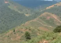 Mutirão Migrante