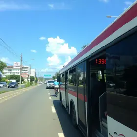 Jaraguá para Pirituba